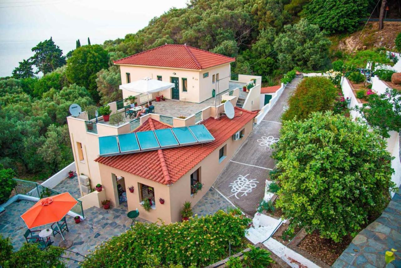 Marina Apartment
