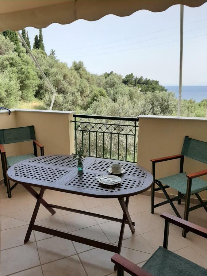 Marina Apartment